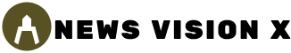 www.newvisonxx.com